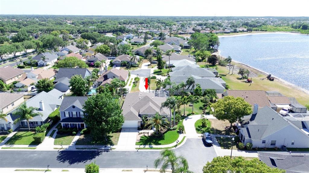 An aerial view shows a suburban neighborhood with houses, palm trees, and a large lake — 1819 LATELIA COURT, TRINITY, FL