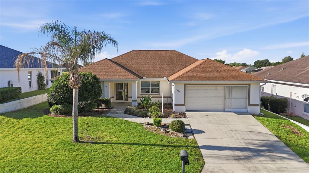 A single-story house with a brown shingled roof, a palm tree, and a concrete driveway — 17083 SE 115TH TERRACE ROAD, SUMMERFIELD, FL