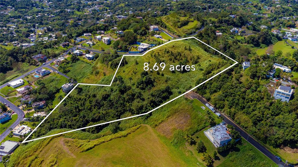 An aerial view shows a large, undeveloped plot of land outlined in white — BO. MINILLAS CAMINO PABLO SILVA, BAYAMON, PR