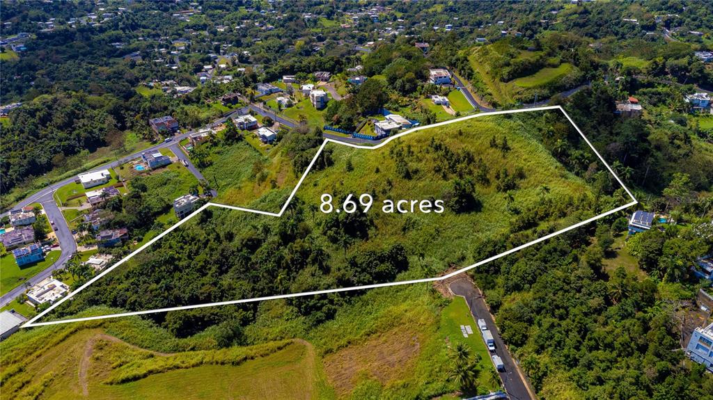 An aerial view shows a large, undeveloped plot of land outlined in white — BO. MINILLAS CAMINO PABLO SILVA, BAYAMON, PR