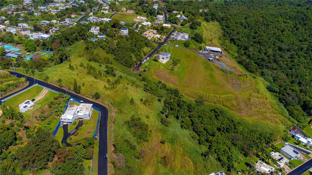 An aerial view shows a hillside residential area with scattered houses, paved roads, and lush vegetation — BO. MINILLAS CAMINO PABLO SILVA, BAYAMON, PR