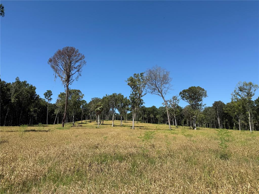 84ac NW 193RD ST, MICANOPY, FL — photo 2 of 7