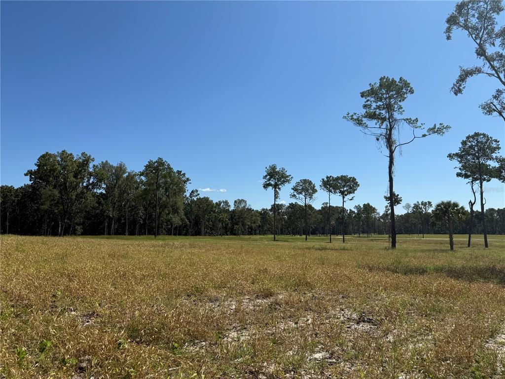 84ac NW 193RD ST, MICANOPY, FL — photo 3 of 7