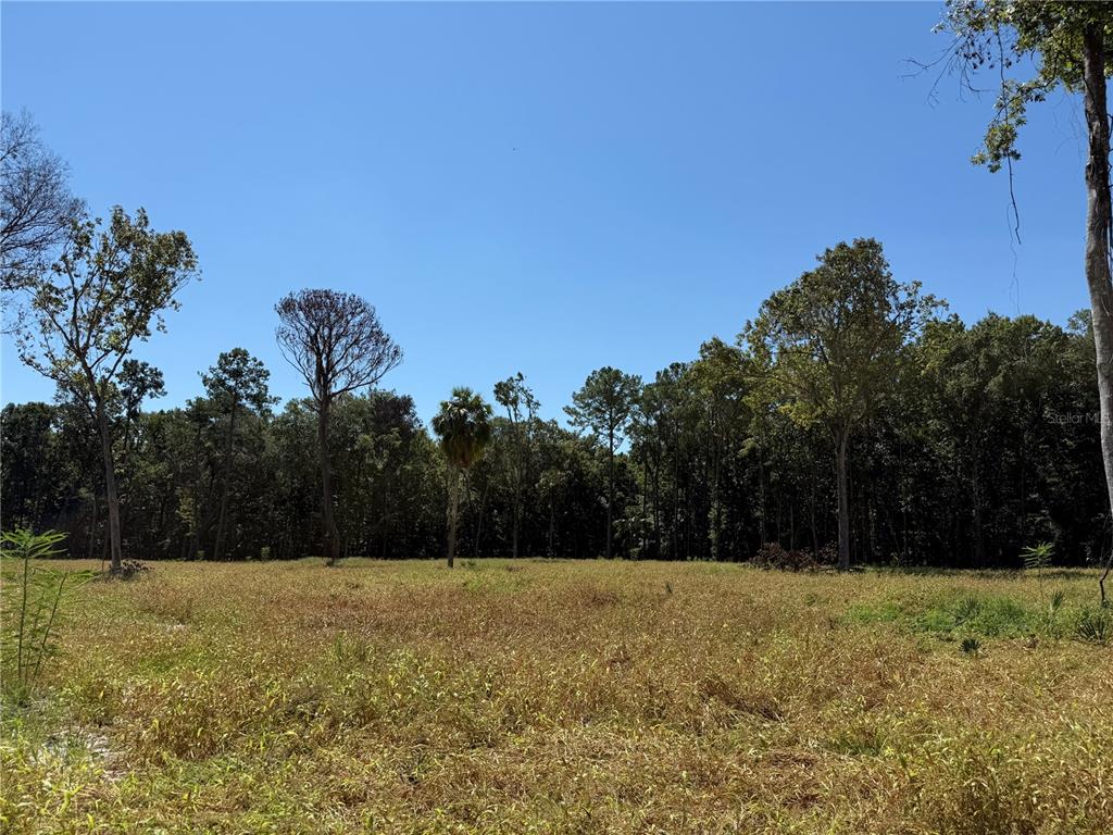 84ac NW 193RD ST, MICANOPY, FL — photo 4 of 7