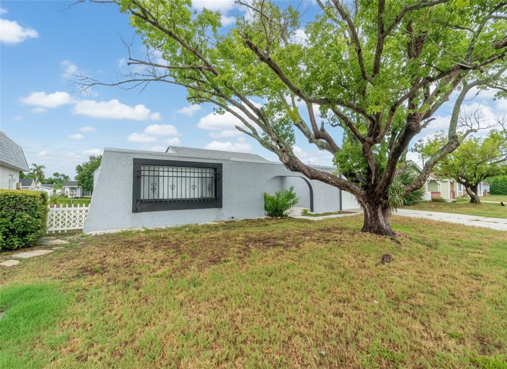 A light gray, single-story house with a large tree and a barred window in front — 4016 GRAYTON DRIVE, NEW PORT RICHEY, FL