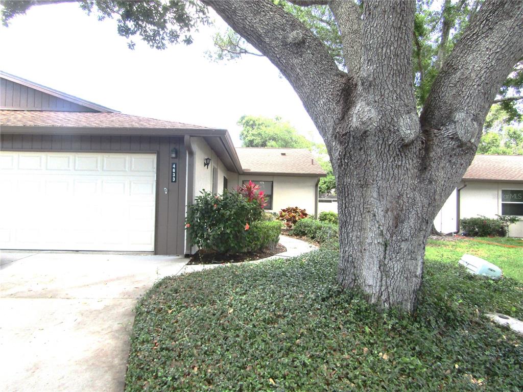 A large tree stands in front of a house with a white garage door — 4633 OAK HILL DRIVE UNIT 13, SARASOTA, FL