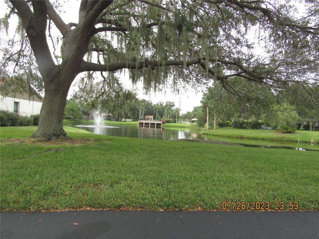 A large oak tree shades a grassy lawn overlooking a pond with a fountain — 4633 OAK HILL DRIVE UNIT 13, SARASOTA, FL