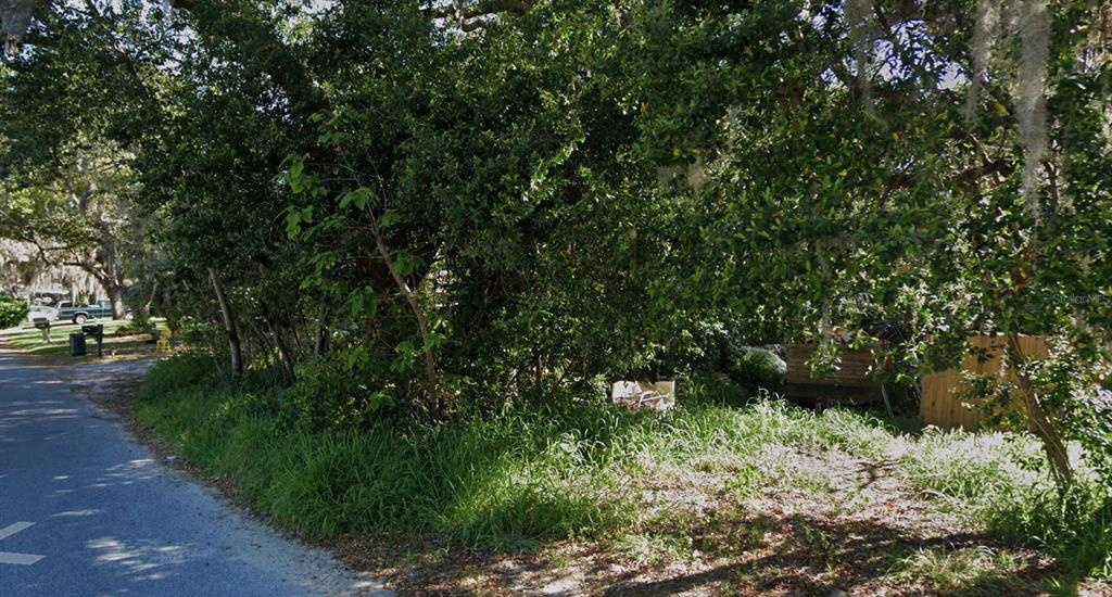 A vacant, tree-covered lot sits adjacent to a paved road with some scattered debris — LENOX DRIVE, NEW PORT RICHEY, FL