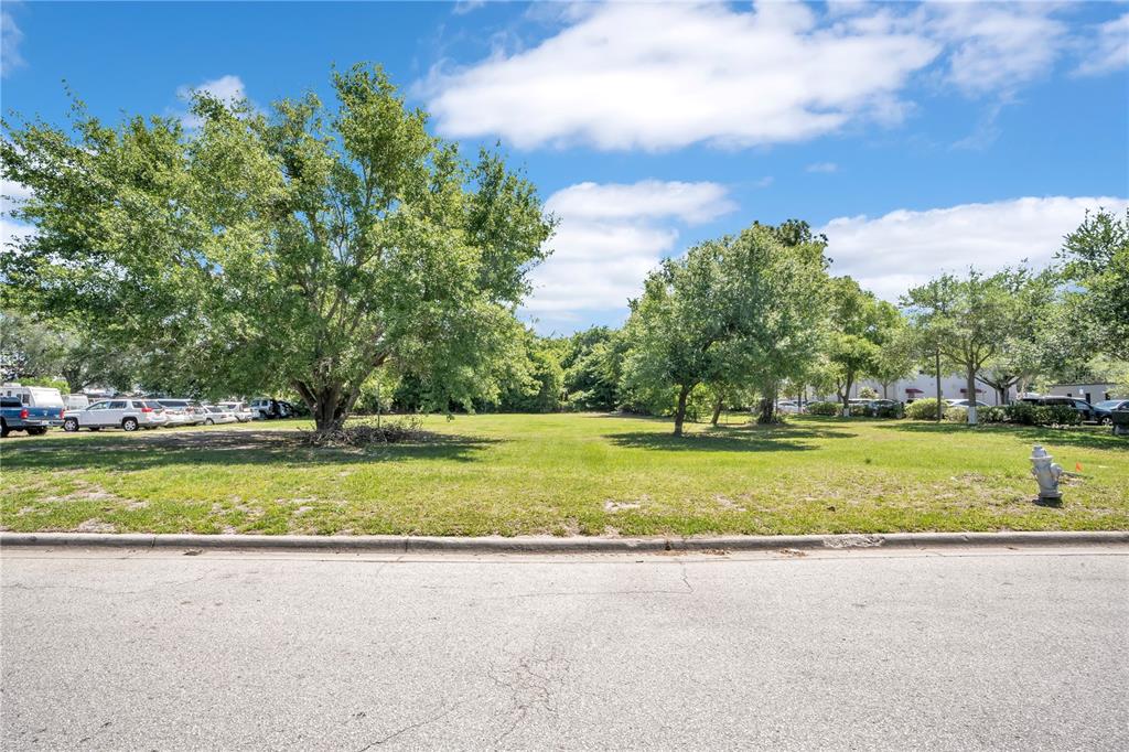 A grassy vacant lot with several large trees sits behind a paved street — 0 LIONS COURT, KISSIMMEE, FL