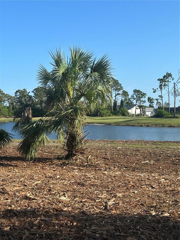 A palm tree stands in a wood-chipped yard overlooking a pond and distant houses — 37 TEE VIEW ROAD, ROTONDA WEST, FL