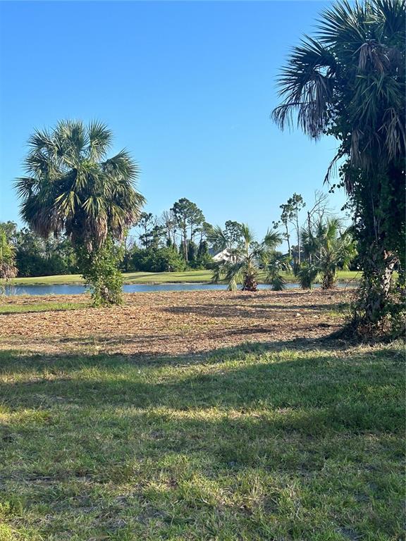 A grassy lot with palm trees overlooks a small pond and a distant golf course — 37 TEE VIEW ROAD, ROTONDA WEST, FL