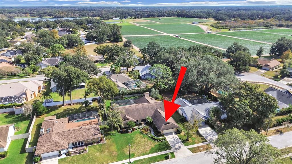 305 RUNNING HORSE ROAD, SEFFNER, FL — photo 3 of 30