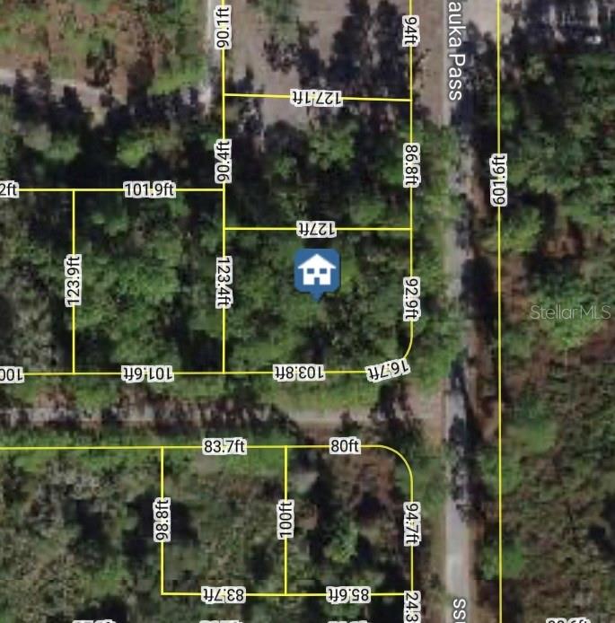 This is an aerial map showing property lot lines and dimensions for a wooded area — XXX MALAUKA PASS PASS, OCKLAWAHA, FL