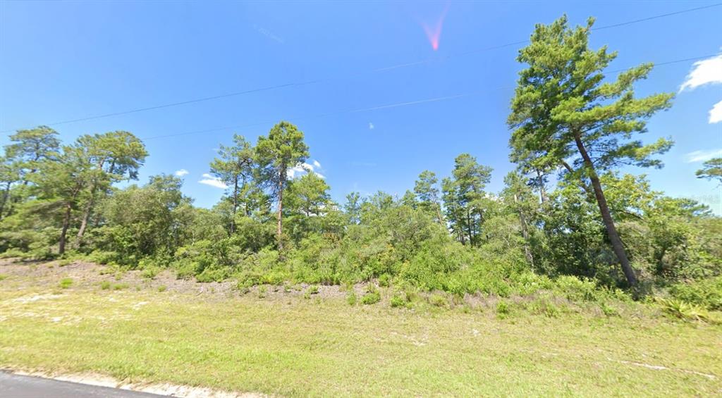 MARION OAK, OCALA, FL — photo 3 of 4