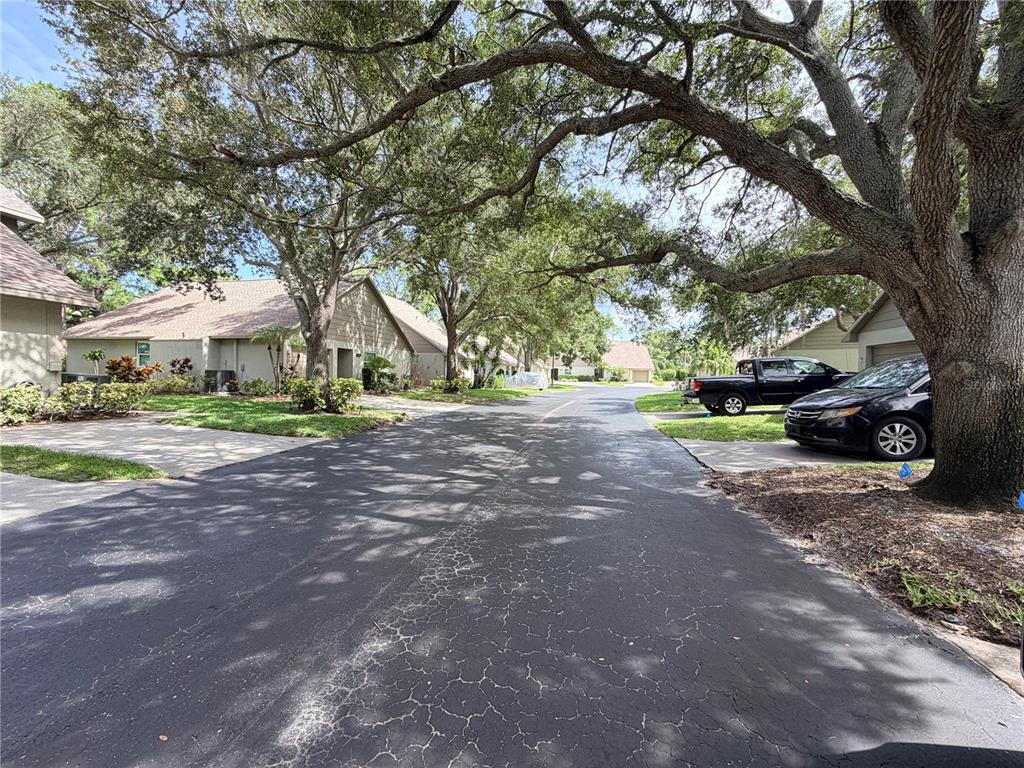 A paved street winds through a residential neighborhood with mature trees and parked cars — 3417 ROCHELLE COURT, CLEARWATER, FL