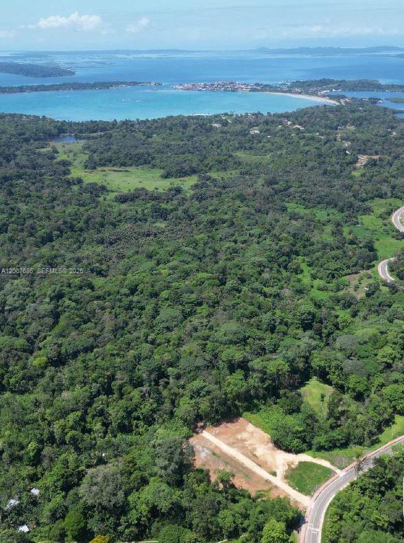 An aerial view shows a cleared dirt lot surrounded by dense forest near the coast — 9PHP+MX Bocas del Toro - Myconos, Panama, FL
