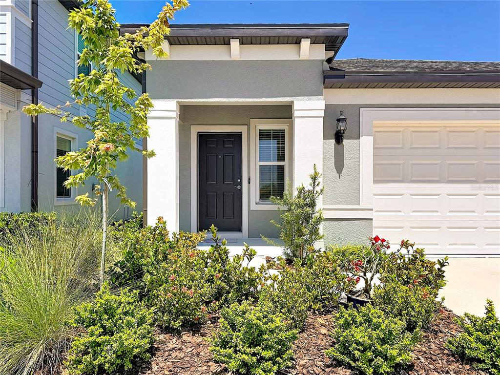 A front view of a house exterior featuring a dark door, landscaping, and a garage — 6080 JENSEN VIEW AVENUE, APOLLO BEACH, FL