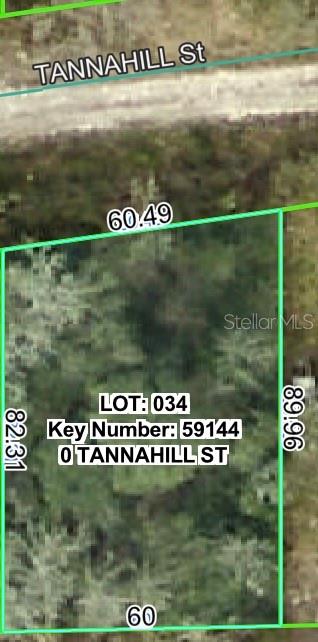 This is a map showing the property boundaries and dimensions of a vacant residential lot — TANNAHILL STREET, DADE CITY, FL