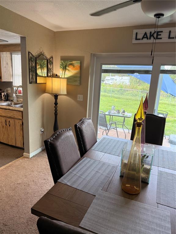 A dining area features a wooden table, dark chairs, a floor lamp, and sliding glass doors — 113 WHITE AVENUE NE, LAKE PLACID, FL