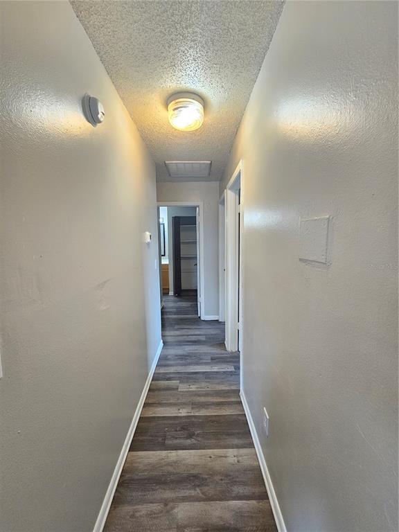 A narrow hallway features light gray walls, wood-look vinyl flooring, and a ceiling-mounted light fixture — 3037 SAINT PAUL DRIVE, WINTER HAVEN, FL