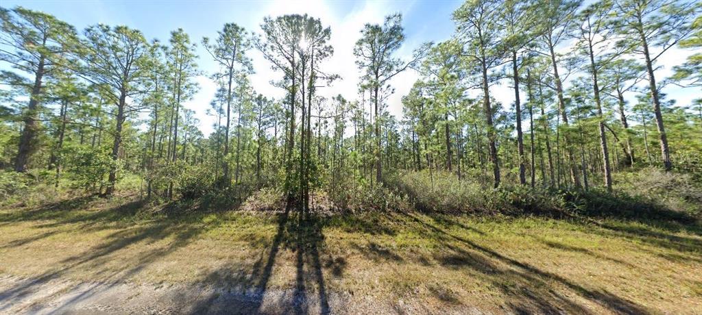 A wooded lot with tall pine trees and low-lying brush under a bright sky — 711 JAPONICA AVENUE, INDIAN LAKE ESTATES, FL