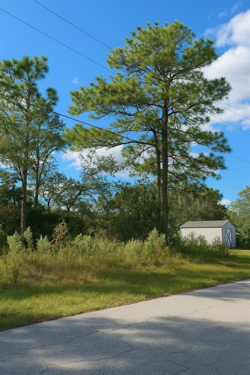 A paved road leads to a grassy lot with tall pine trees and a storage shed — 7800 N PRIMROSE DRIVE, CITRUS SPRINGS, FL