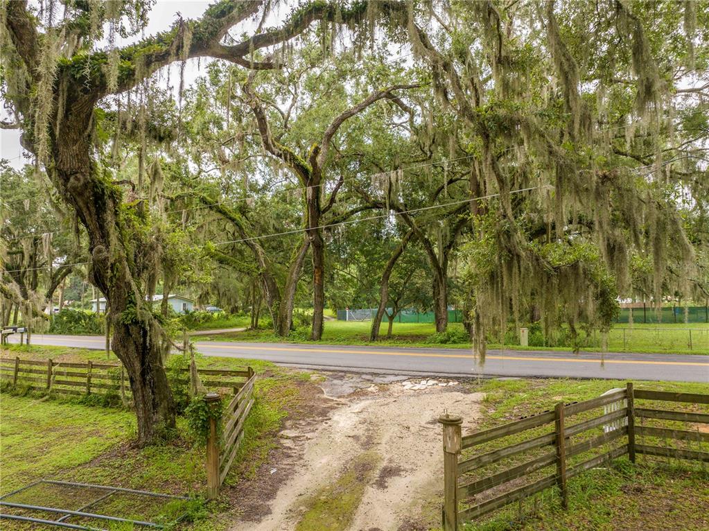 A dirt driveway leads to a paved road framed by large trees with Spanish moss — 36720 EMERALDA ISLAND ROAD, LEESBURG, FL
