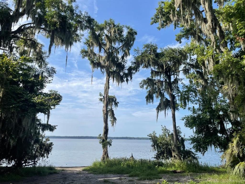 A view of a lake framed by tall trees draped in Spanish moss — 430 SE 74TH STREET, GAINESVILLE, FL