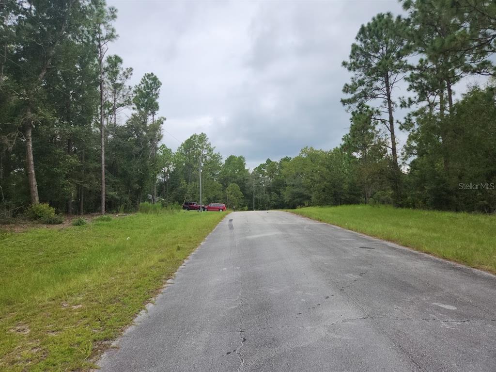 A paved road leads toward a wooded area with two parked cars in the distance — lot 24 SW 89TH CIRCLE, OCALA, FL