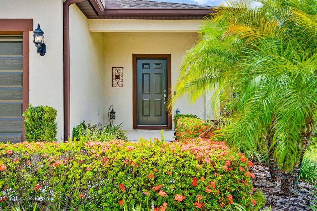 The front entrance of a house features a dark door, landscaping, and a palm tree — 1407 CUSTER BAYOU STREET, RUSKIN, FL