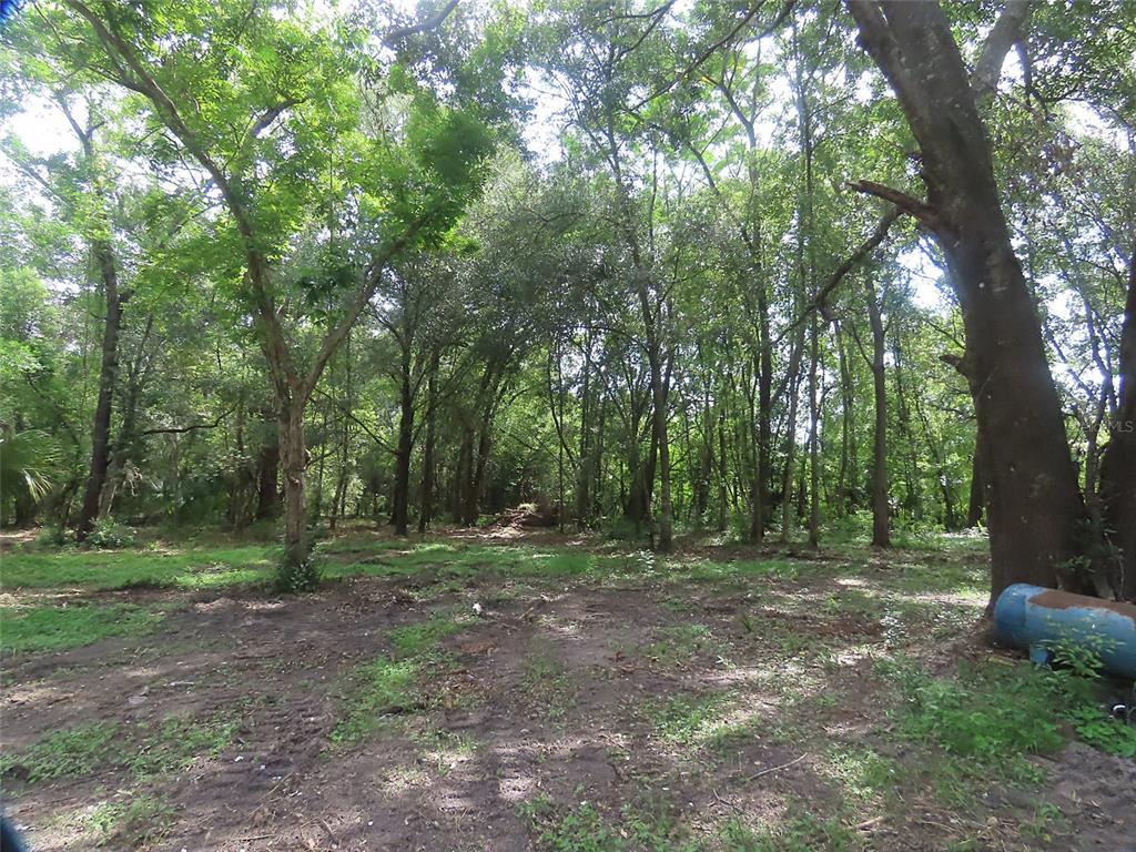 32944 COUNTY ROAD 437, SORRENTO, FL — photo 4 of 12