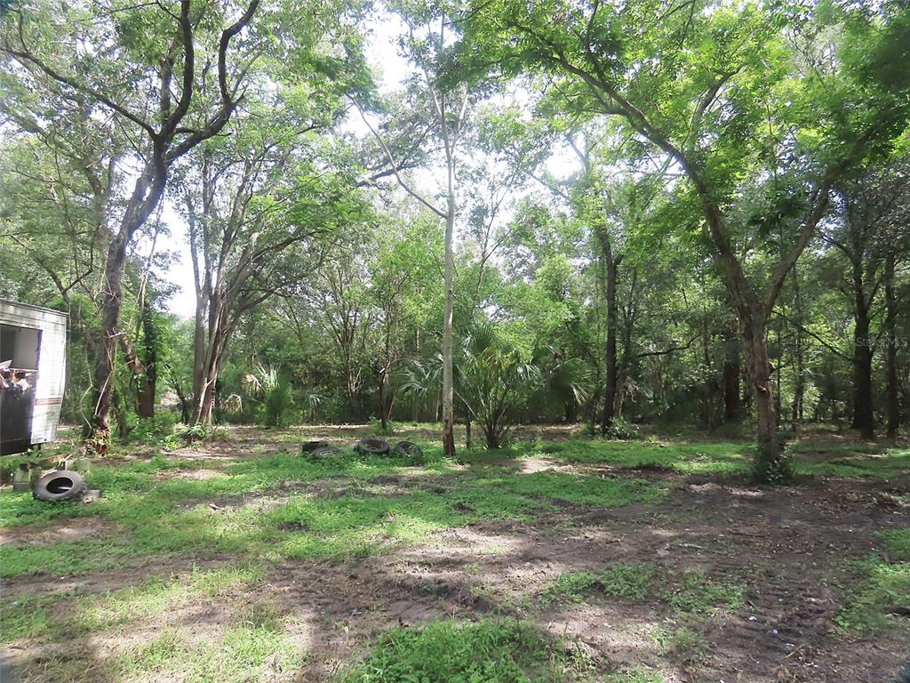 32944 COUNTY ROAD 437, SORRENTO, FL — photo 5 of 12