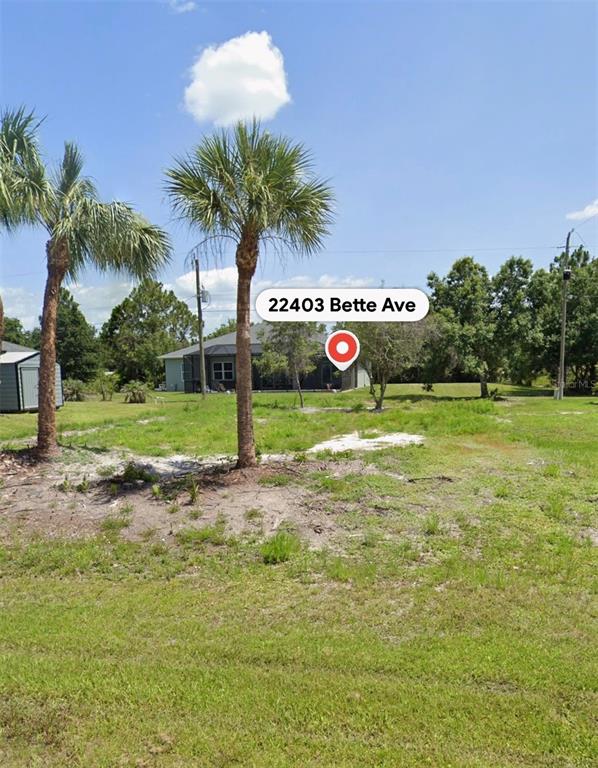 A grassy vacant lot features two palm trees and a small shed under a blue sky — 22403 BETTE AVENUE, PORT CHARLOTTE, FL