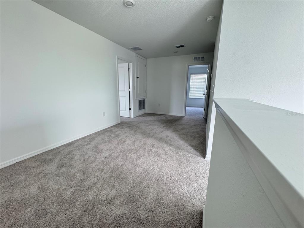 A carpeted loft area features white walls, a doorway, and a utility closet — 11877 NOBLE CHASE PATH, DADE CITY, FL