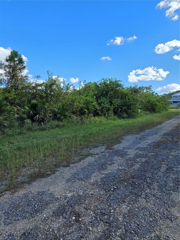 A gravel road runs alongside a densely wooded, undeveloped lot under a blue sky — 423 WILDER AVENUE S, LEHIGH ACRES, FL