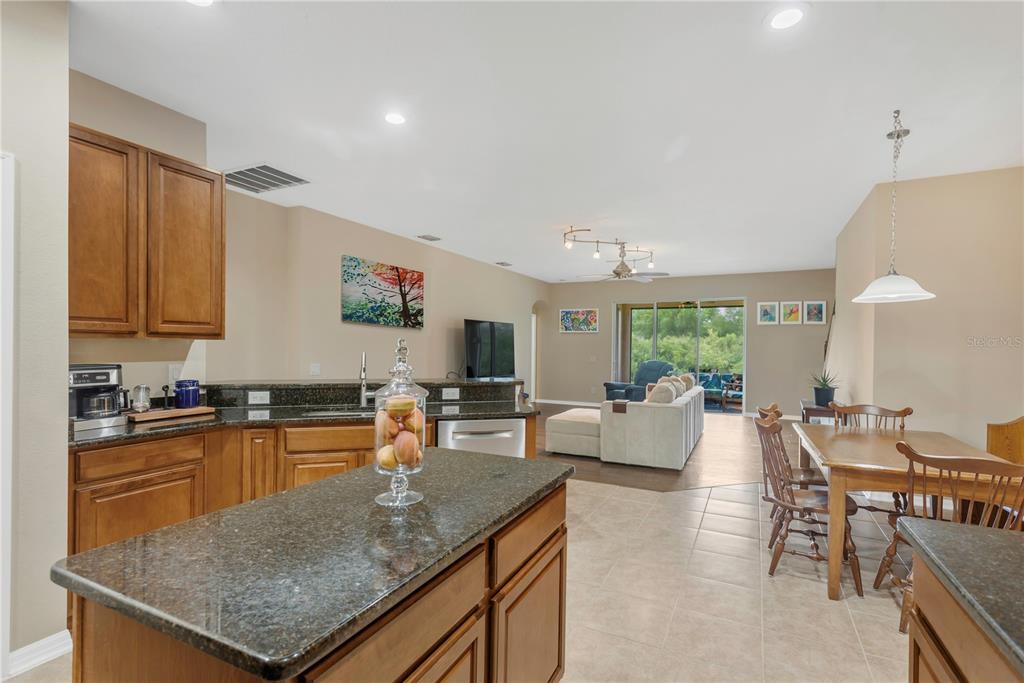 A kitchen with granite countertops and wood cabinets overlooks an open living and dining area — 10859 BREAKING ROCKS DRIVE, TAMPA, FL