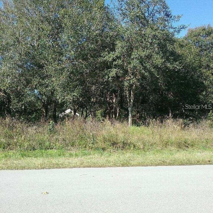 A vacant, wooded lot is viewed from an adjacent paved road — 1197 EPPINGER DRIVE, PORT CHARLOTTE, FL
