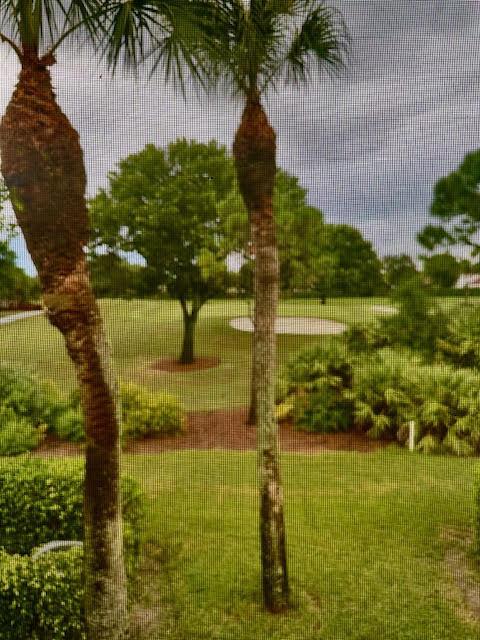 A view of a golf course fairway and sand trap framed by two palm trees — 15814 Loch Maree Lane # 3305, Delray Beach FL 33446, DELRAY BEACH, FL