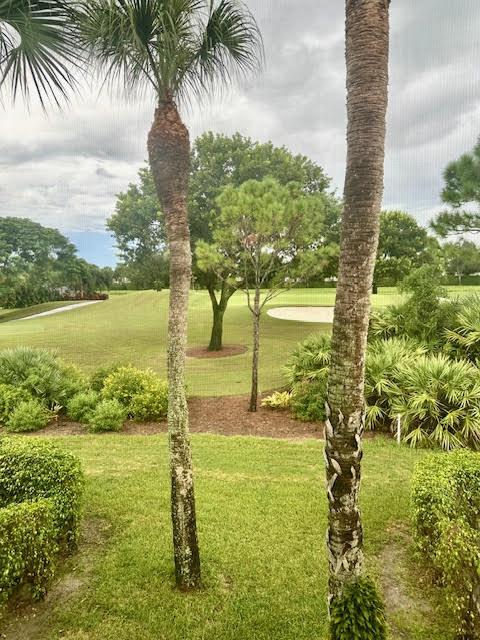 Two tall palm trees frame a view of a grassy golf course and trees — 15814 Loch Maree Lane # 3305, Delray Beach FL 33446, DELRAY BEACH, FL