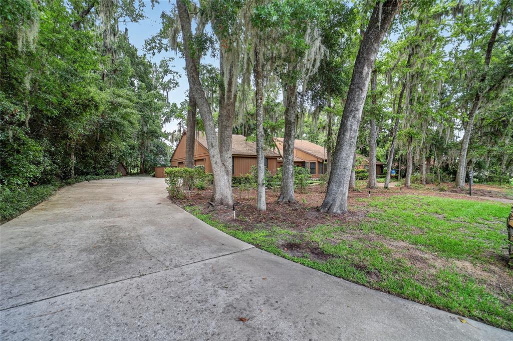 A brown house sits behind a concrete driveway surrounded by many tall, moss-covered trees — 2411 SE 15TH STREET, OCALA, FL
