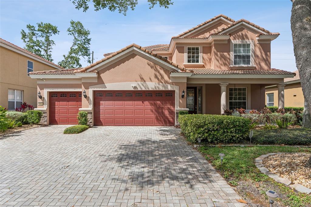 442 ANESSA ROSE LOOP