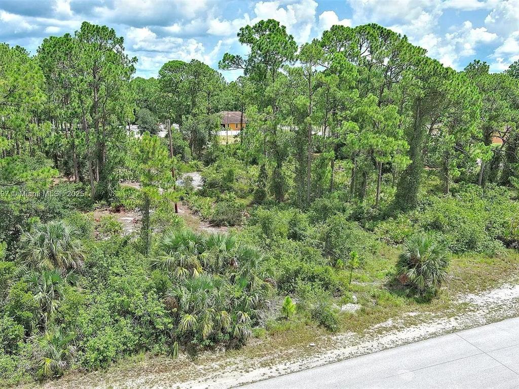 An elevated view shows a wooded, undeveloped lot with dense vegetation and tall pine trees — 1102 W 16TH STREET, LEHIGH ACRES, FL