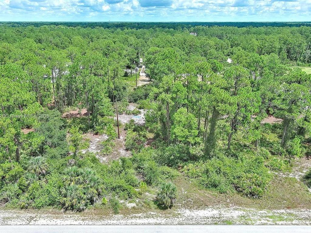 An aerial view shows a wooded, undeveloped lot with sandy ground and scattered pine trees — 1102 W 16TH STREET, LEHIGH ACRES, FL