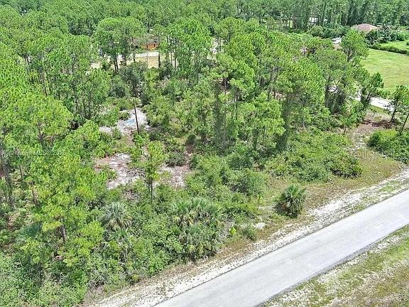 An aerial view shows a wooded, undeveloped lot adjacent to a paved road — 1102 W 16TH STREET, LEHIGH ACRES, FL