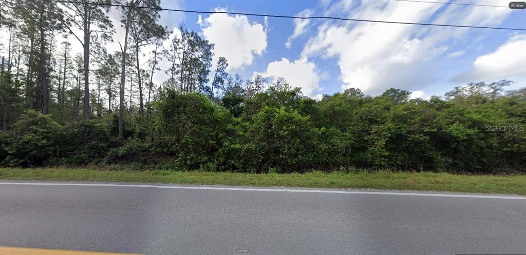 A view of a densely wooded, undeveloped lot bordering a paved road — DEEN STILL RD ROAD, POLK CITY, FL