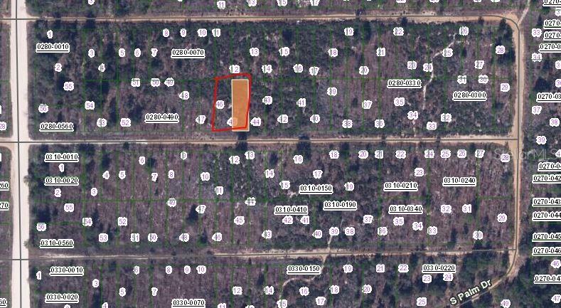 BIRCH STREET, INTERLACHEN, FL — photo 2 of 3