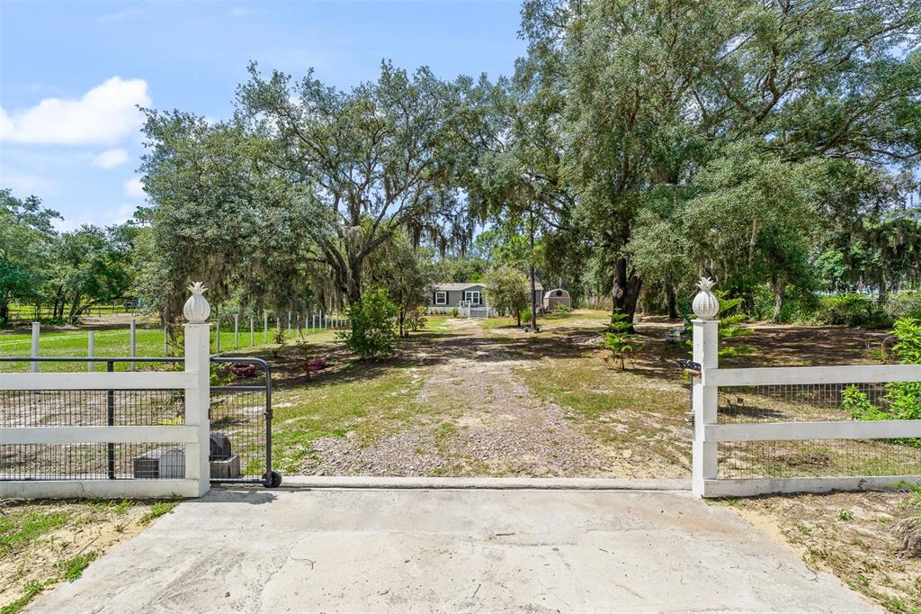A gravel driveway leads through a white fence toward a house shaded by large trees — 8170 DOGYARD ROAD, LAKE WALES, FL