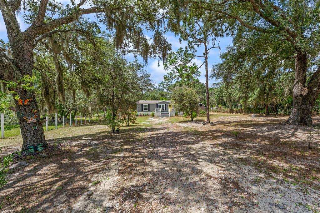 A small house sits at the end of a dirt driveway surrounded by large trees — 8170 DOGYARD ROAD, LAKE WALES, FL