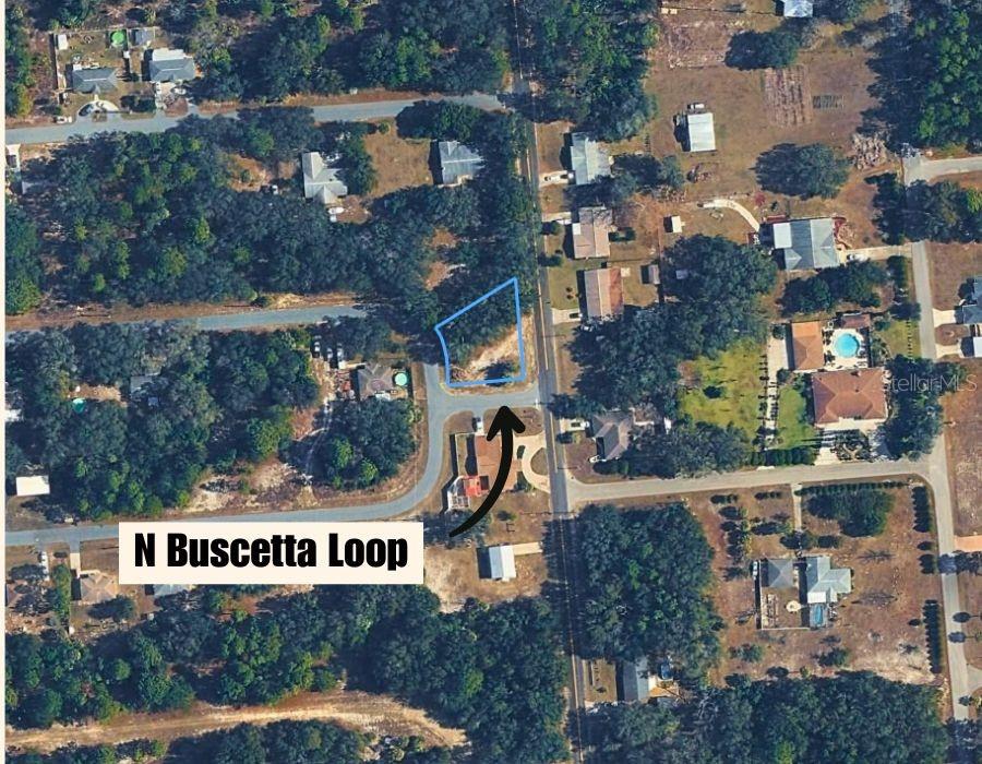 An aerial view shows a vacant, irregularly shaped lot highlighted in blue near a road — 8549 N BUSCETTA LOOP, CRYSTAL RIVER, FL