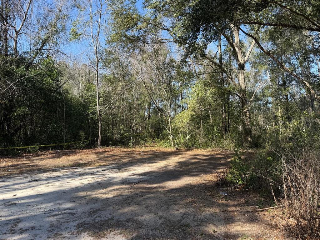 A dirt clearing sits in front of a dense forest of trees under a blue sky — 5325 NW 7TH STREET, OCALA, FL